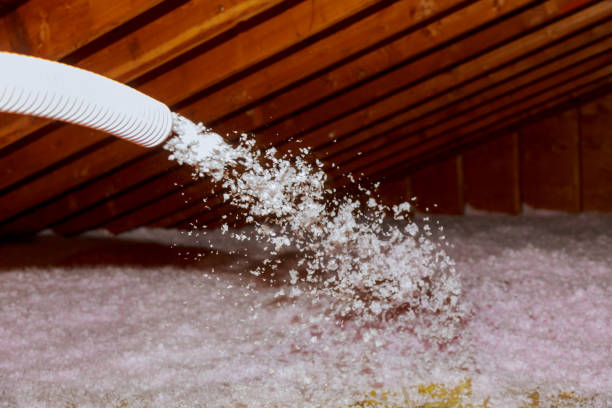 Best Residential Insulation in Bethany, IL