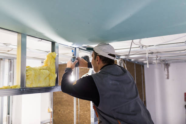 Best Insulation Installation Services in Bethany, IL